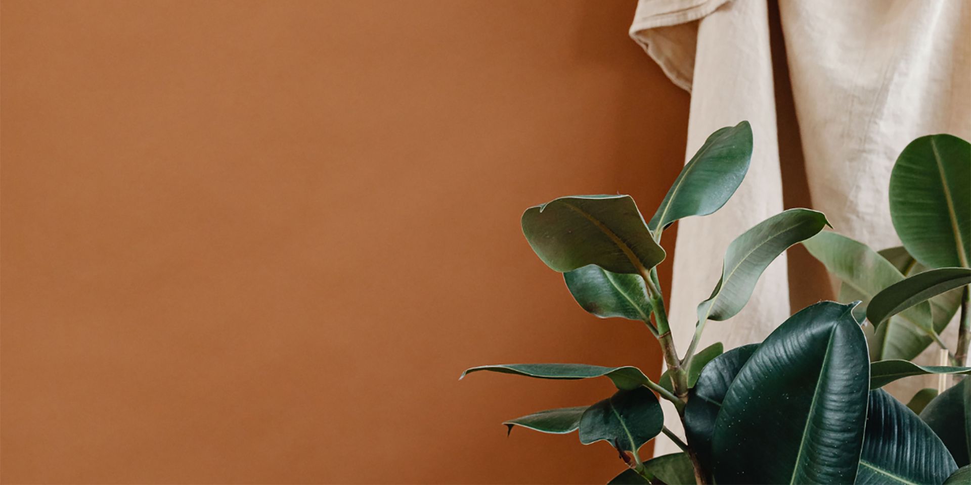 Locatie en Omgeving - Informatieblok 1