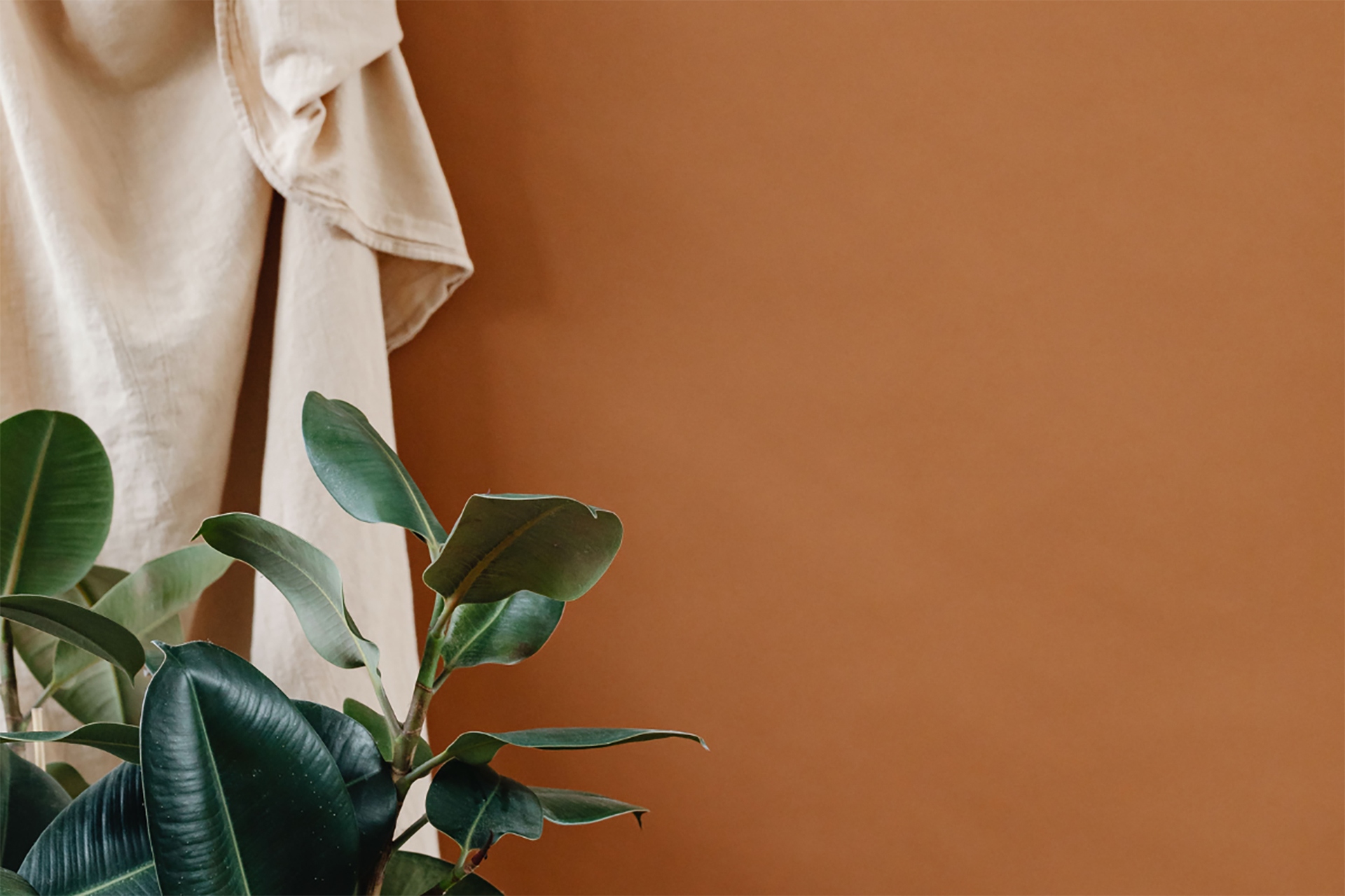 Locatie en Omgeving - Algemeen