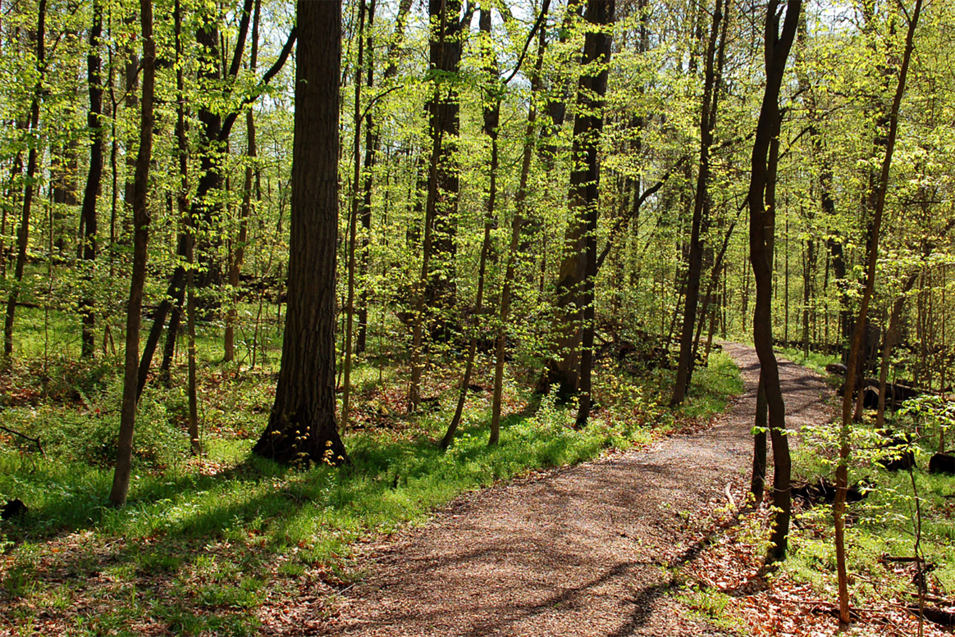 Locatie en Omgeving - Algemeen